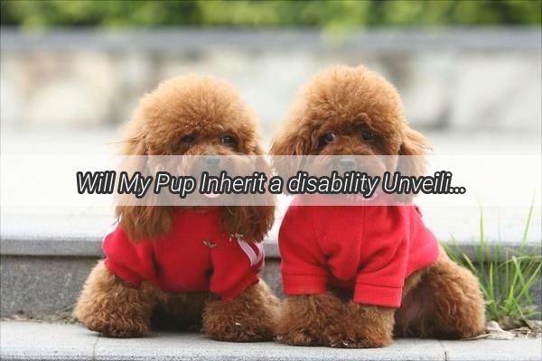 Will My Pup Inherit a disability Unveiling the Reality of Puppies and Genetic Conditions